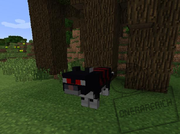 ender-zoo-1122-1102-194-1710