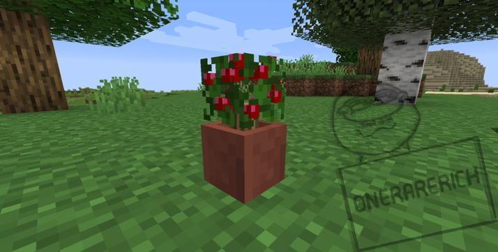 potted-bushes-1144