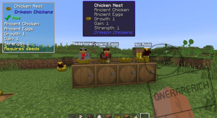 crimson-chickens-1182-1171-1165